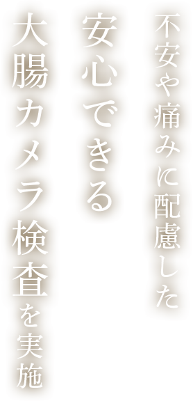 不安や痛みに配慮した安心できる大腸カメラ検査を実施