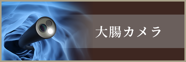 大腸カメラ