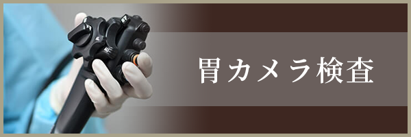 胃カメラ検査