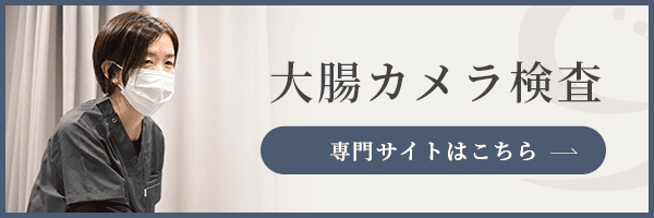 大腸カメラ検査LPのバナー